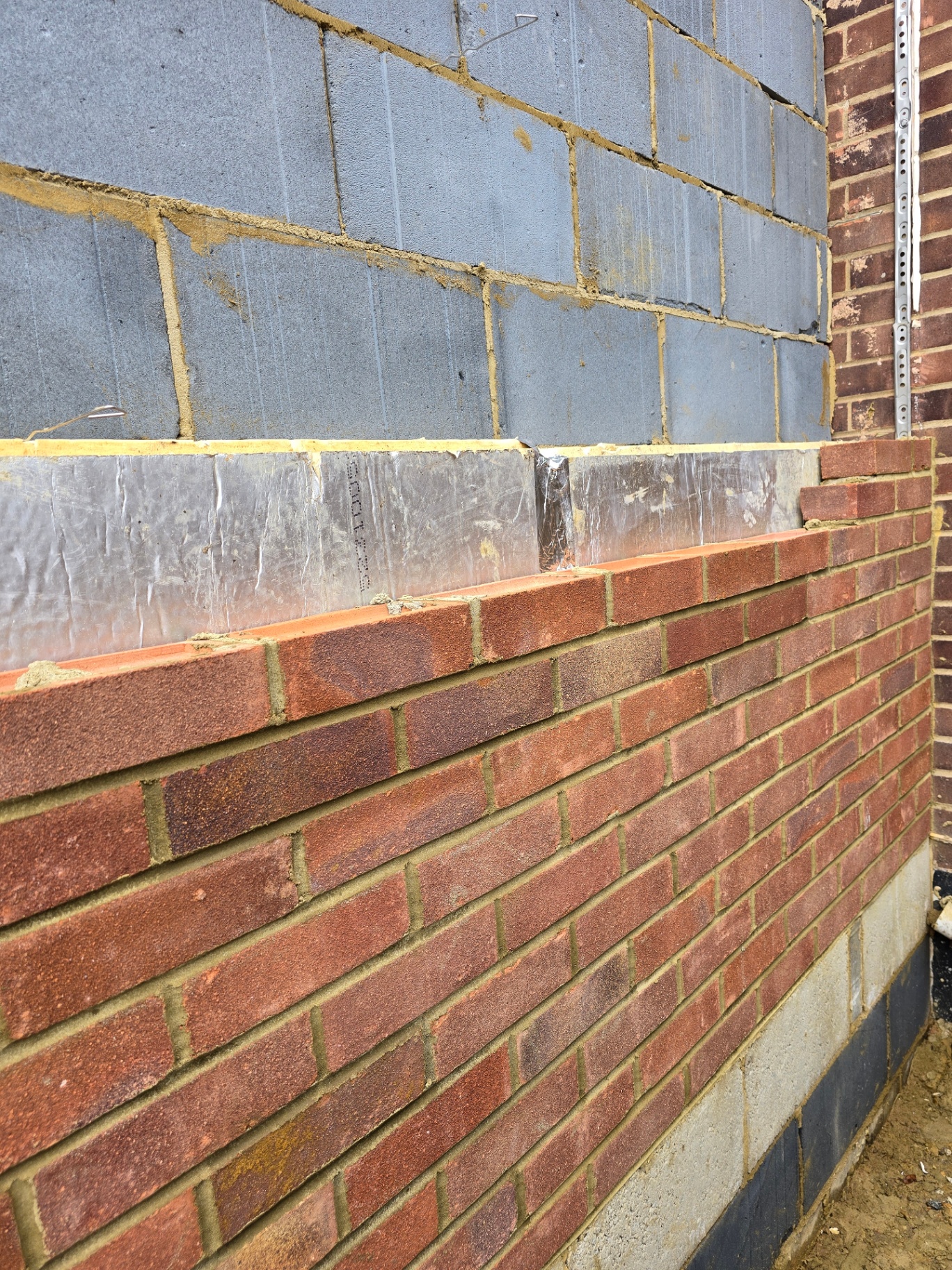 Orpington photo 24