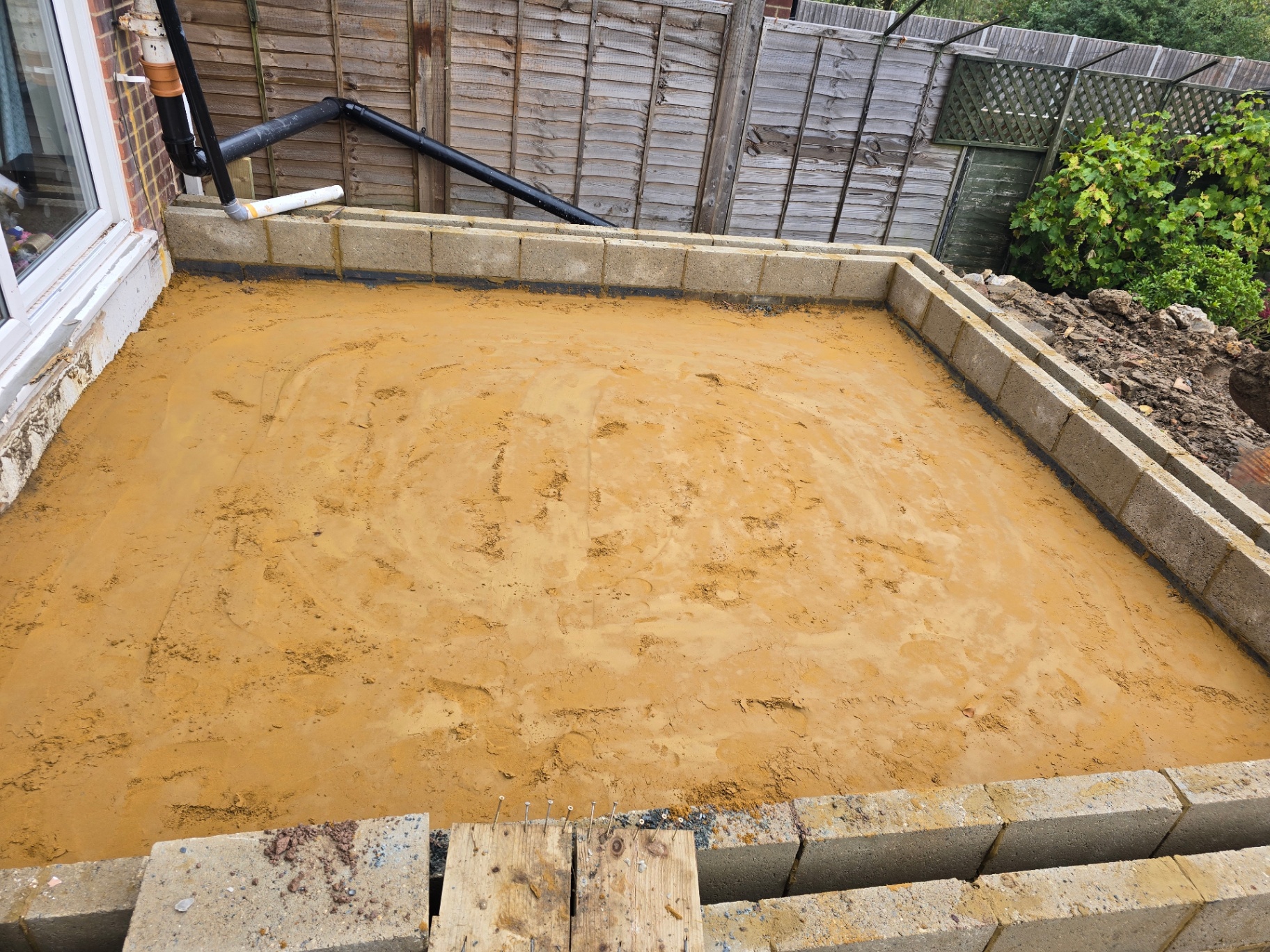 Orpington photo 16