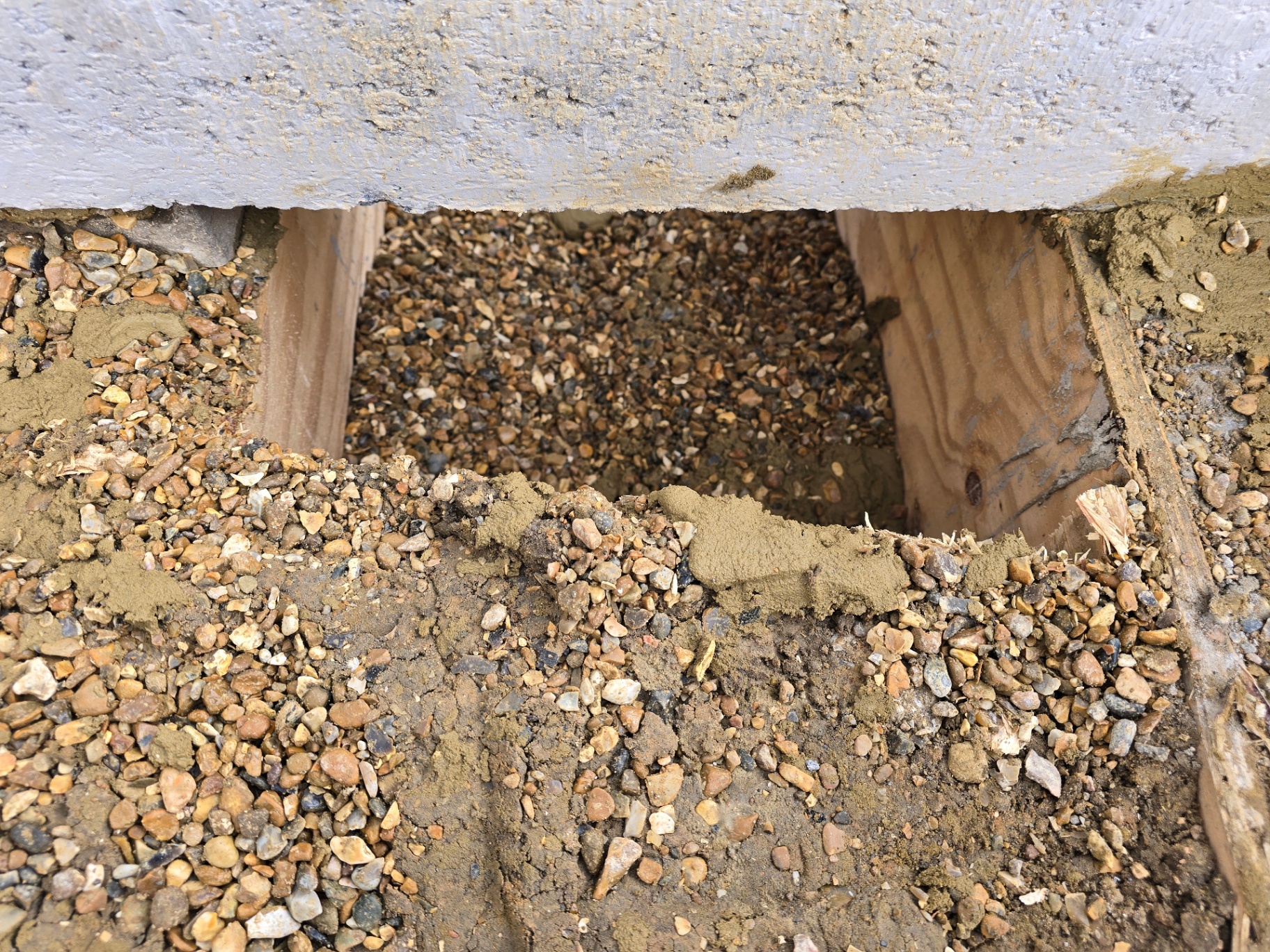 Orpington photo 11
