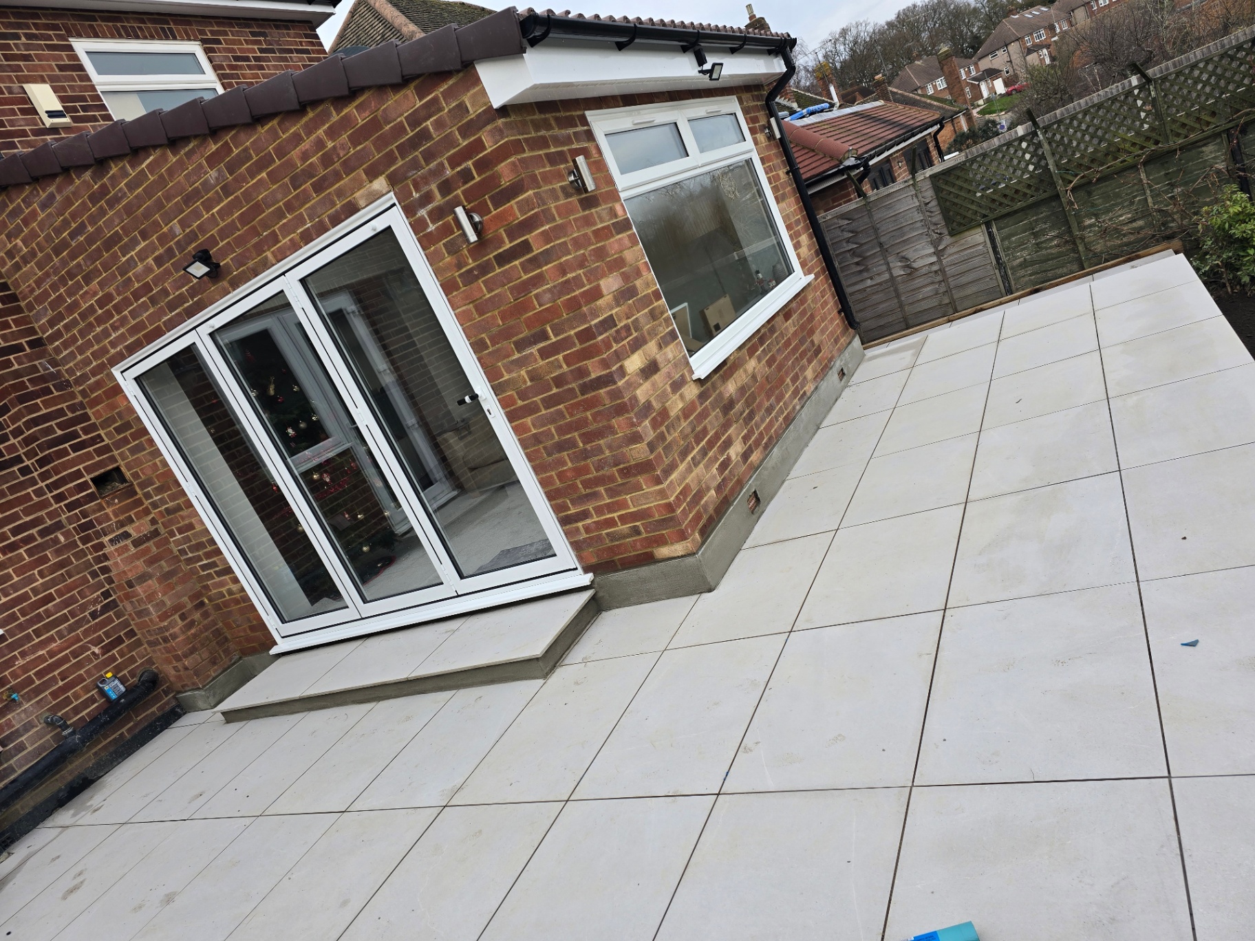 Orpington photo 30
