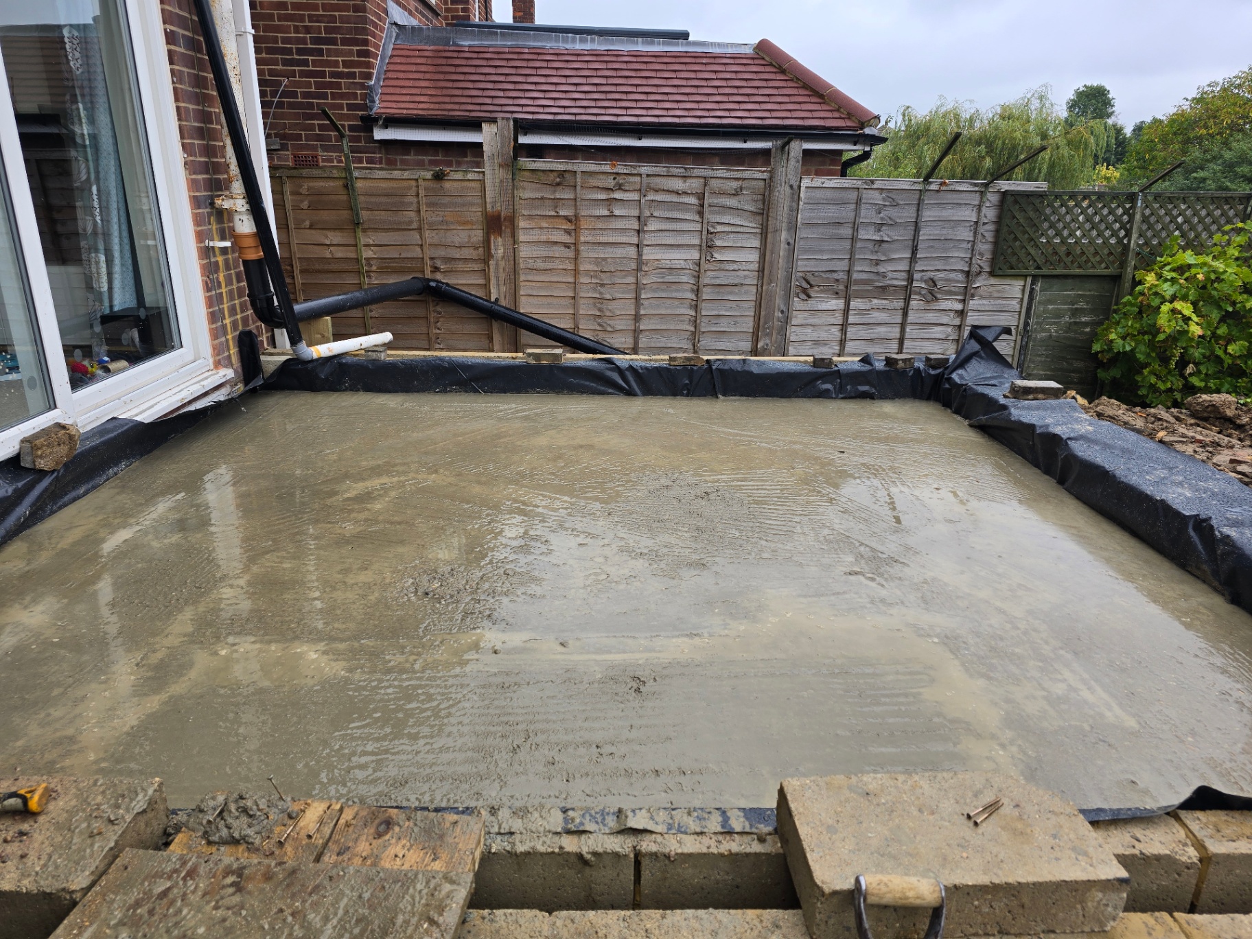 Orpington photo 21