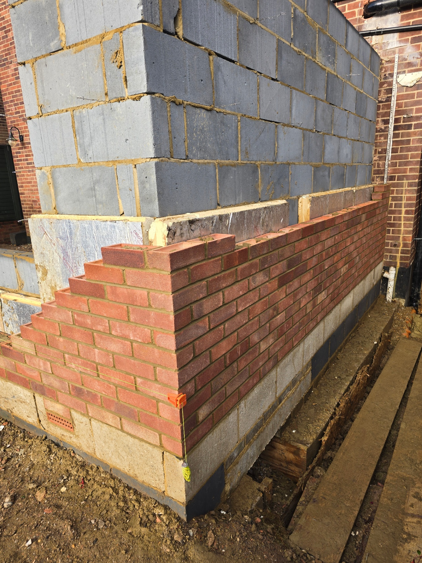 Orpington photo 22